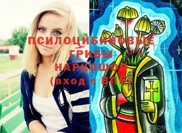 прущие крисы Карпинск