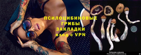 PSILOCYBIN Касимов